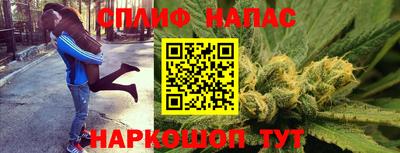 МДПВ Гусев