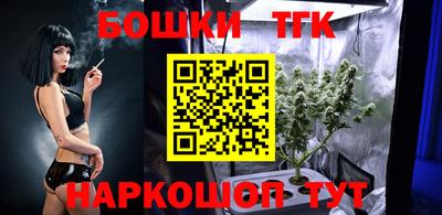 амф Гатчина