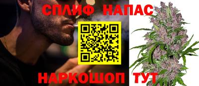 МДПВ Гусев