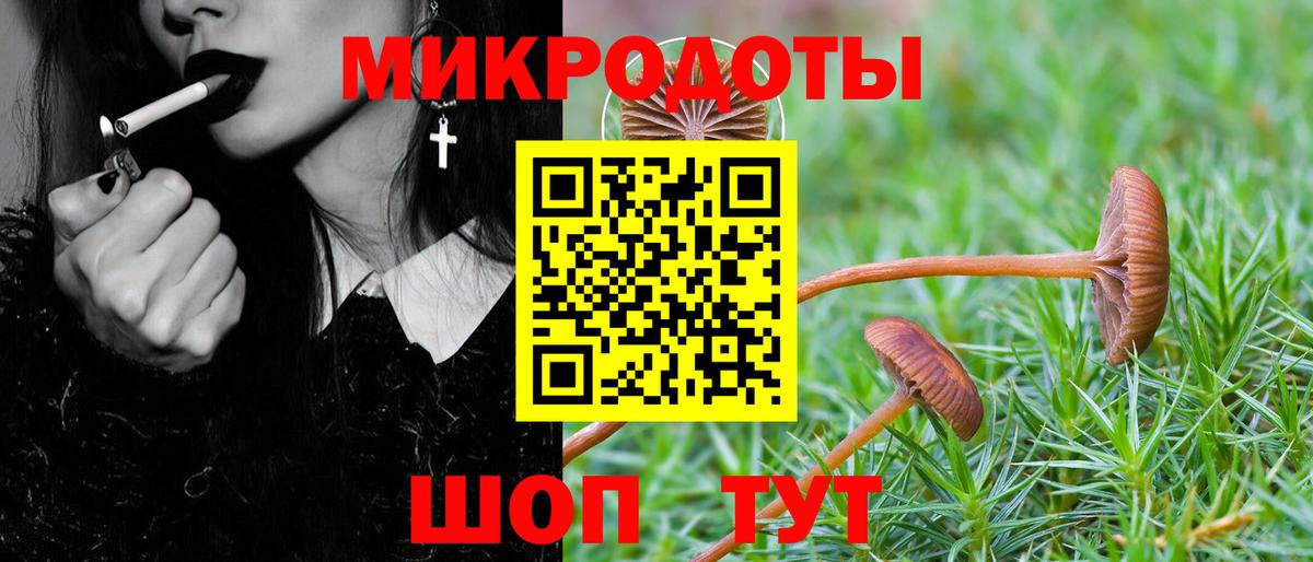 Псилоцибиновые грибы Cubensis Мирный
