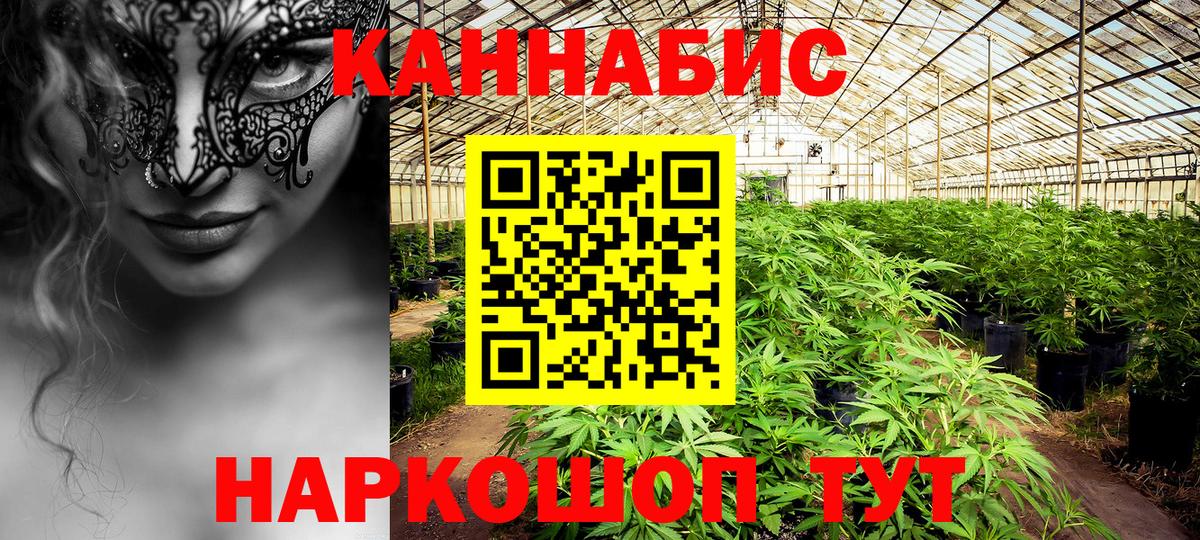 Мирный  Бошки марихуана марихуана  Вход с VPN  Марихуана Amnesia  Каннабис план 